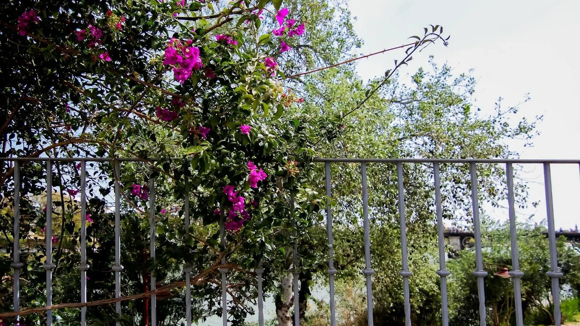Monkeys Apartments Castilla Triana Σεβίλλη Ισπανία